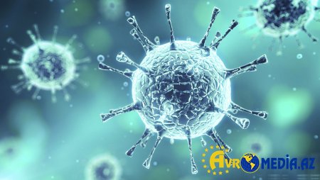 Günün koronavirus statistikası açıqlandı