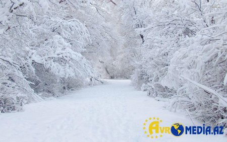 Hava kəskin dəyişəcək- XƏBƏRDARLIQ