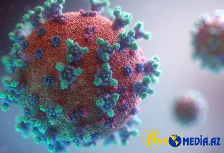 Günün koronavirus statistikası açıqlandı