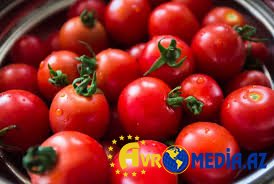 Ölkəyə gətirilən 3 ton pomidor toxumu məhv edildi