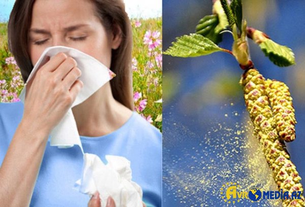 Pollinoz - Yaz allergiyasına qarşı təbii çarə
