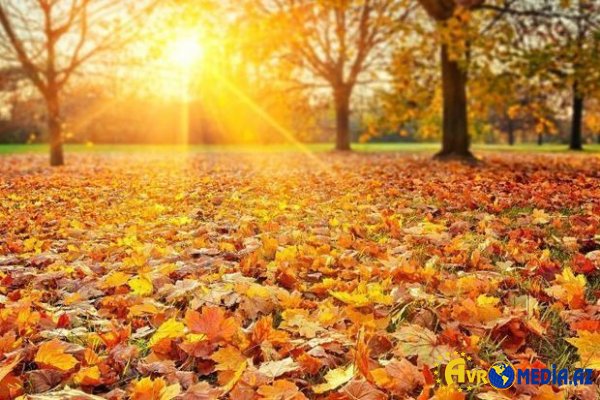 Bayram və istirahət günlərində hava necə olacaq?