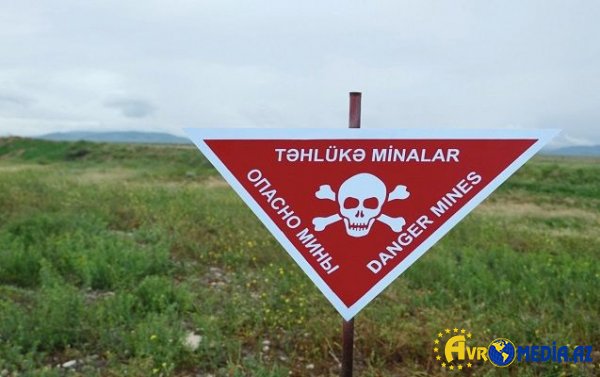 ANAMA əməkdaşı Ağdamda minaya düşdü