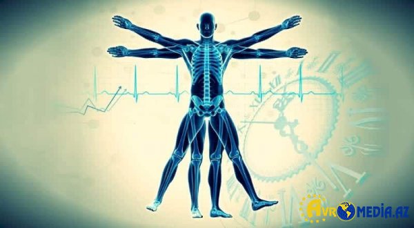 İnsan orqanizmində hansı saatda nə baş verir?