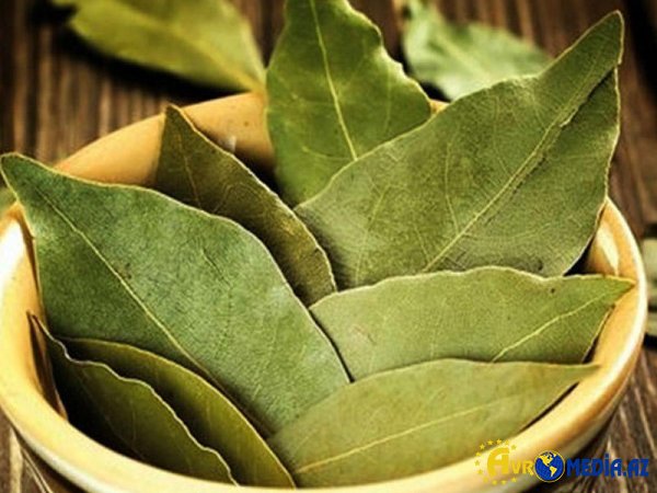 Mənzildə xoşagəlməz qoxulardan XİLAS OLUN