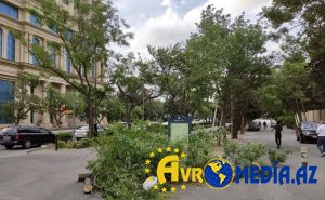 Qəbələdə yol bağlandı, nazirlik hərəkətə keçdi