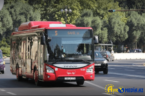 Bakıdakı festival üçün avtobuslar ayrıldı