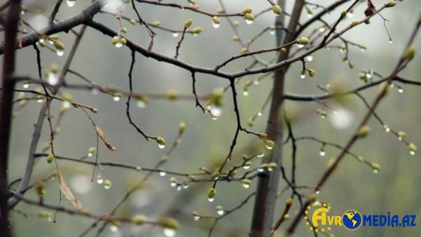 Faktiki hava açıqlandı