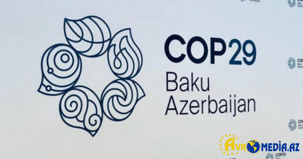 COP29 xüsusi viza portalı istifadəyə VERİLDİ