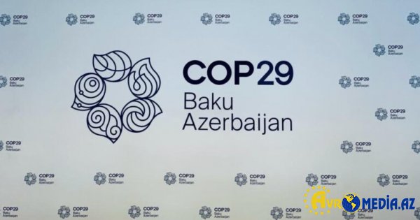 COP29-un ilk rəsmi tərəfdaşları açıqlandı