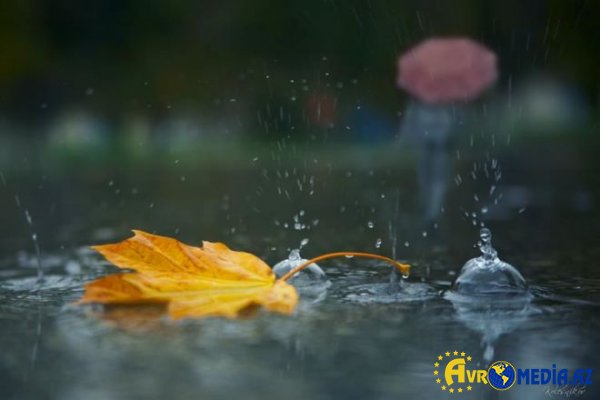 Temperatur normadan 1,4 dərəcə yuxarı olub