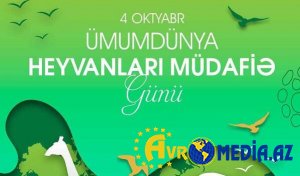 Bu şəbəkənin genişləndirilməsi üçün işlər görülür