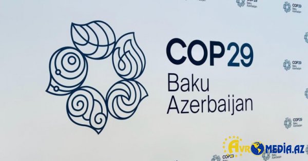 Bu şəxslər COP29 məkanından kənarlaşdırıldı
