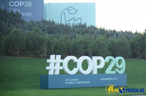 COP29 Azərbaycan diplomatiyasının dönüş nöqtəsidir