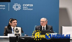 COP29: Yüksəksəviyyəli dəyirmi masa təşkil olundu