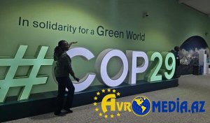 Bir neçə iştirakçı COP29 məkanından uzaqlaşdırıldı