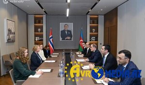 Ceyhun Bayramov norveçli nazirlə görüşdü