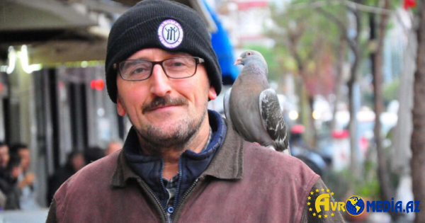 Bu göyərçin kişidən əl çəkmir