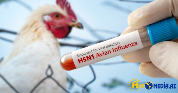 Luiziana ştatında H5N1 quş qripindən ilk insan ölümü qeydə alınıb