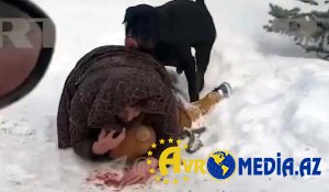 Ananın uşağını itdən bu cür qoruması gündəm oldu
