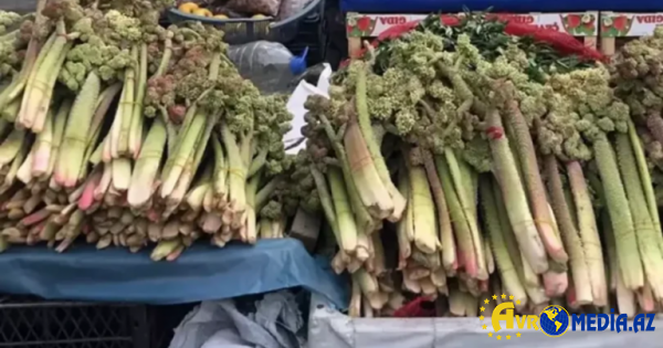 Xərçəngin müalicəsində yeni bitki