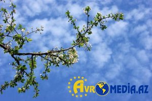 Temperatur 19 dərəcəyə yüksələcək