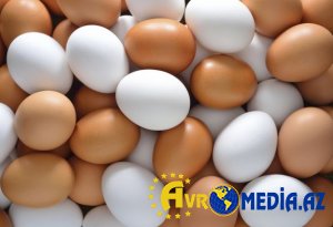 Azərbaycanda yumurtanın qiyməti ilə bağlı ZİDDİYYƏT