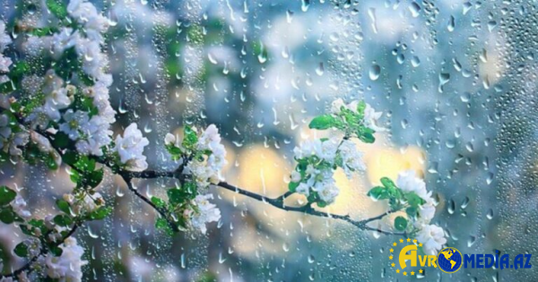 Faktiki hava açıqlandı