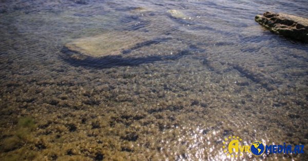 Xəzərdə yeni ada peyda oldu