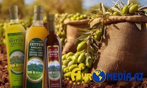 Azərbaycan bu ölkədə zeytun yağı istehsal edəcək