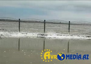 Mehdiabad gölündə balıqların kütləvi ölüm səbəbi