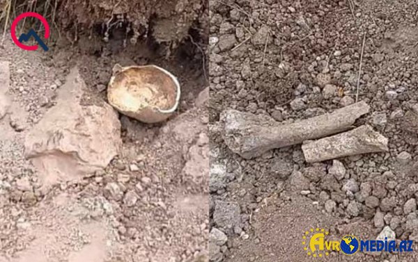Laçında insan sümüklərinə bənzər skelet qalıqları tapıldı