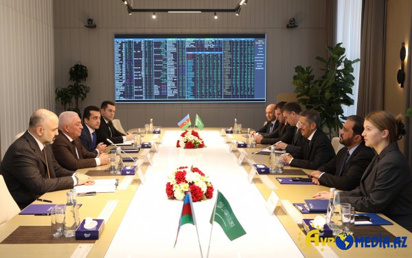 “AzərEnerji” və “ACWA Power” rəhbərlərinin görüşü oldu