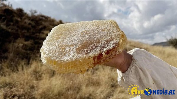 Türkiyə balı dünyanın ən bahalı məhsulu seçildi.