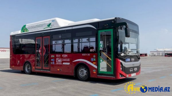 “BakuBus” Naxçıvanda fəaliyyətə başlayır