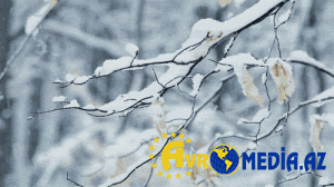 Temperatur enəcək, qar yağacaq