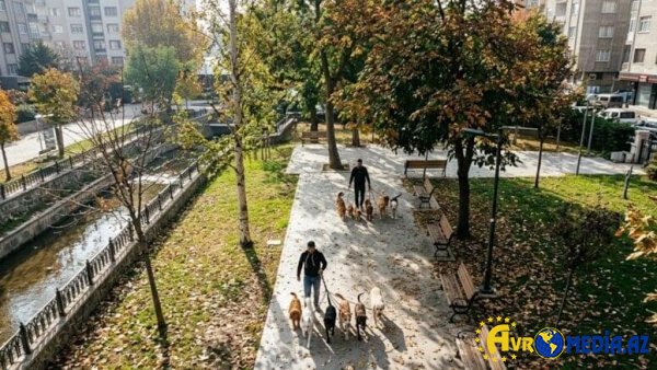 Gördüyü işdən ayda 7500 qazanır: Heç bir xərci yoxdur, qazancı özünə qalır