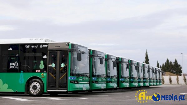 Xankəndidə şəhərdaxili avtobus marşrutları fəaliyyətə başlayıb - Rəsmi