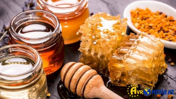 Azərbaycanda bala dair yeni qaydalar hazırlanır