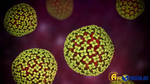 Bu gəmidə hantavirus yayılıb, ölənlər var