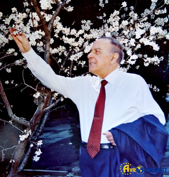 Onun evinə girməyə ixtiyarım var idi - Əliyevin fotoqrafı