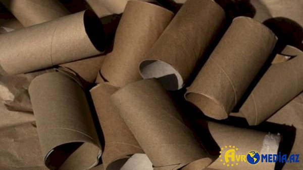 Atmağa tələsməyin: İstifadə olunmuş tualet kağızı rulonları xəzinə imiş