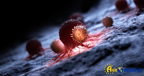 Xərçənglə bağlı mühüm sınaq: 15 nəfər sağaldı