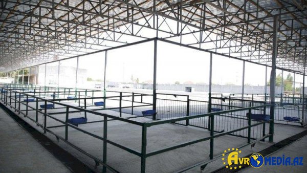 Bakıda yeni bazar fəaliyyətə başladı