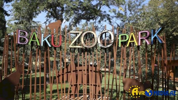 Bakı Zooparkı ləğv olunur – Qərar rəsmən təsdiqləndi