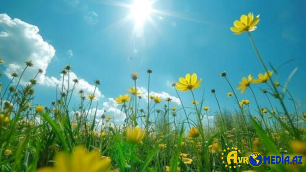 Azərbaycanda temperatur 40 dərəcəyə çatdı - Hava proqnozu