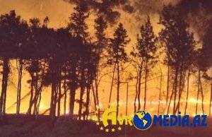 Bakıda otluq ərazidə güclü YANĞIN baş verib